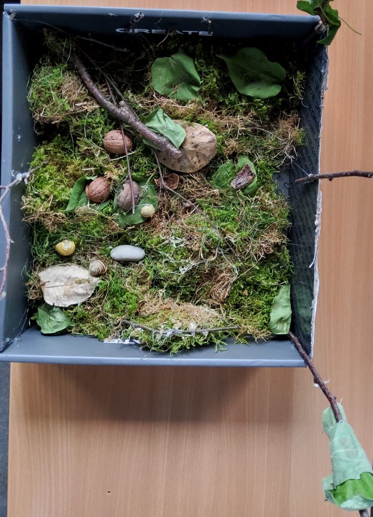Waldboden